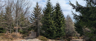 Wysoki Kamień, skrzyżowanie