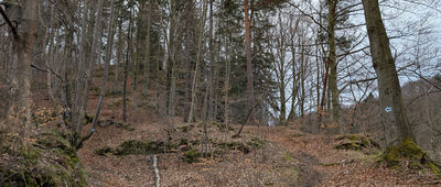 Witriolejnia Prellera ↔ Piechowice, ul. Wiejska