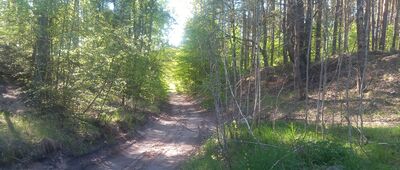 Lipia Góra ↔ Leśnictwo Dębowo