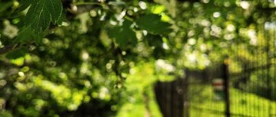 Pod Vružnou ↔ Pod Malým Ostrým, hřeben