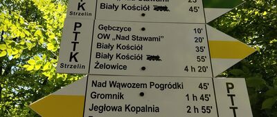 Gębczyce, staw [Gębczyce, staw]