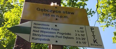 Gębczyce, staw [Gębczyce, staw]