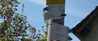 Nowolesie [Nowolesie]