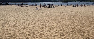 Sielpia Wielka ↔ Sielpia-Letnisko