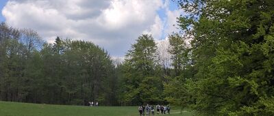 Zamek Pieniny ↔ Polana Wyrobek [Wiosna]