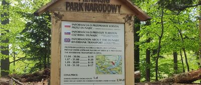 Przełęcz Sosnów