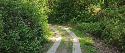 Polana Morgi ↔ Lubaszowa