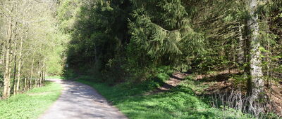 Okrzeszyn, odejście szlaku zielonego