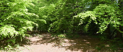 Jánský Vrch, rozc.