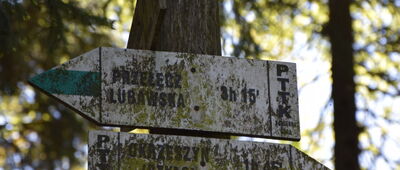 Nad Doliną Beczkowskiego Potoku