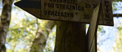 Nad Doliną Beczkowskiego Potoku