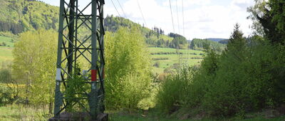 Nad Doliną Beczkowskiego Potoku