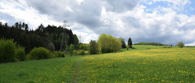 Bogoria ↔ Nad Doliną Beczkowskiego Potoku