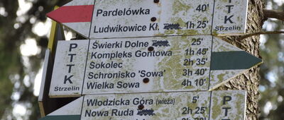 Rozdroże pod Włodzicką Górą