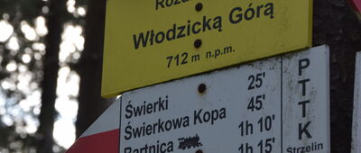 Rozdroże pod Włodzicką Górą