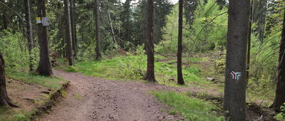 Rozdroże pod Włodzicką Górą