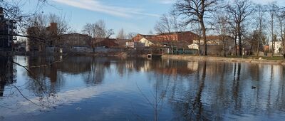 Łubno, ul. Kwiatowa ↔ Żyrardów