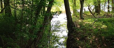 Lubosz, ul. Dworcowa ↔ Łężeczki, maszt