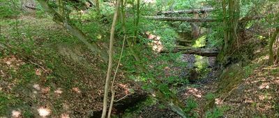 Lubosz, ul. Dworcowa ↔ Łężeczki, maszt