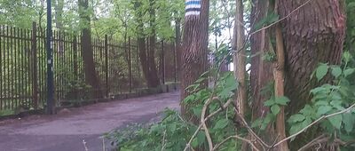 Toruń, ul. Dybowska