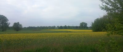 Rozejście szlaków ↔ Toruń, ul. Dybowska