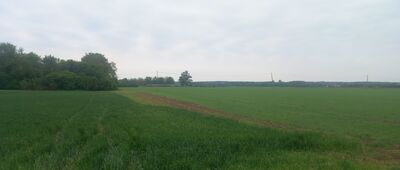 Mała Nieszawka, ruiny zamku ↔ Mała Nieszawka, ul. Topolowa