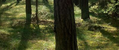 Rozejście szlaków ↔ Rozejście szlaków