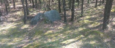 Rozejście szlaków ↔ Skrzyżowanie szlaków