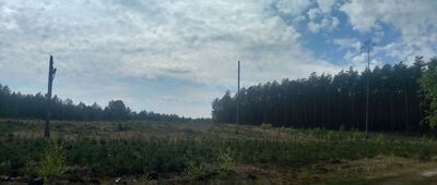 Skrzyżowanie szlaków ↔ Skrzyżowanie szlaków