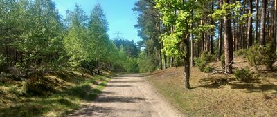 Źródliska w Rudach ↔ Skrzyżowanie szlaków