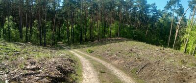 Bydgoszcz, ul. Plątnowska ↔ Źródliska w Rudach