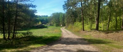 Bydgoszcz, ul. Plątnowska ↔ Źródliska w Rudach