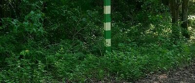 Bydgoszcz, ul. Plątnowska ↔ Źródliska w Rudach