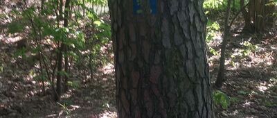 Bydgoszcz, ul. Zakole ↔ Bydgoszcz, ul. Nowotoruńska