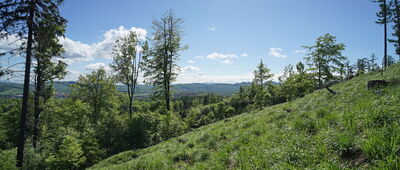Skrzyżowanie szlaków niebieski / czarny ↔ Skrzyżowanie szlaków niebieski / czarny