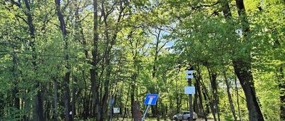 Sitowiec [Sitowiec (kwiecień 2025)]