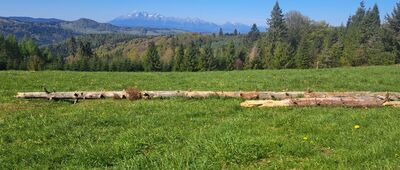Litawcowa ↔ Obidza [Tatry z Polany Litawcowej]