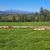 Tatry z Polany Litawcowej