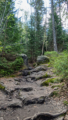 Żółty szlak na Szczeliniec Wielki
