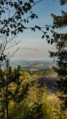 Widok na północ z żółtego szlaku na Szczeliniec Wielki