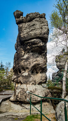Formacje skalne na Szczelińcu Wielkim (Wielbłąd)