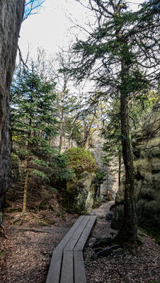 Formacje skalne na Szczelińcu Wielkim