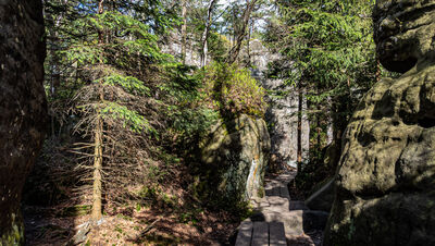 Formacje skalne na Szczelińcu Wielkim