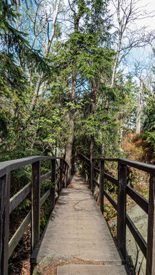 Formacje skalne na Szczelińcu Wielkim