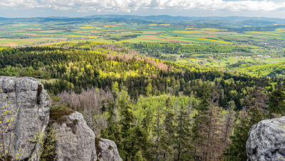 Formacje skalne na Szczelińcu Wielkim (Niebo)