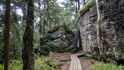 Formacje skalne na Szczelińcu Wielkim