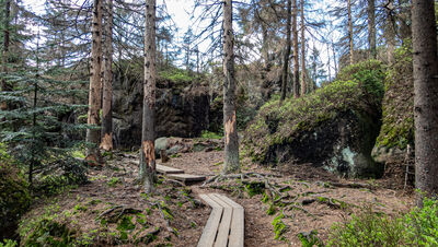 Formacje skalne na Szczelińcu Wielkim
