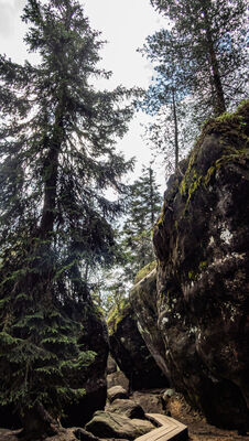 Formacje skalne na Szczelińcu Wielkim