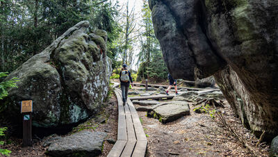 Formacje skalne na Szczelińcu Wielkim (Koński Łeb)