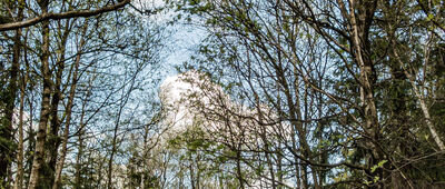 Szczeliniec Wielki, rozejście do tarasów [Formacje skalne na Szczelińcu Wielkim]